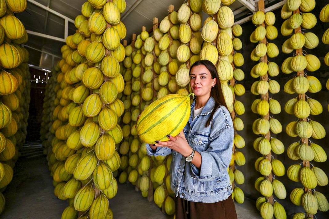 AB onaylı lezzet! Kırkağaç kavunu, kış aylarında da tezgahlarda 5